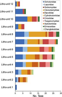 Lithostratigraphy of a long, fossiliferous Oligocene sequence: Revisiting Saint Jacques, Nei Mongol, China